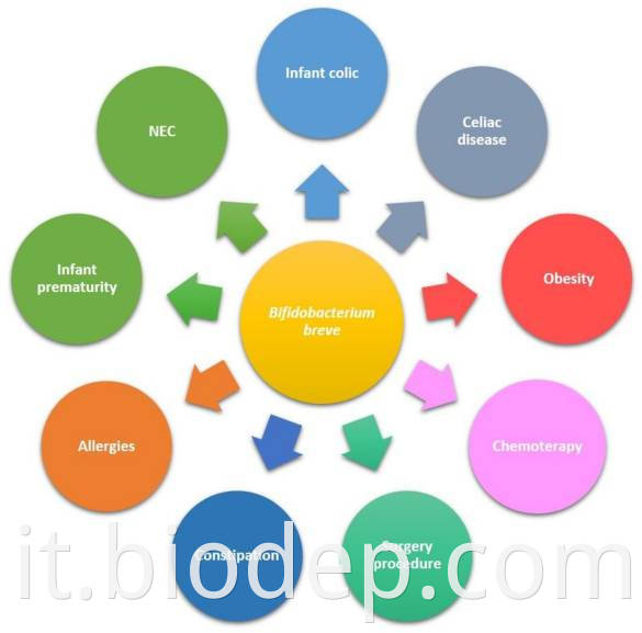 BIFIDOBACTERIUM BREVE1